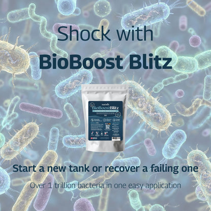 BioBoost Ultimate Pack | One Time Septic Tank Recovery and Ongoing Monthly Treatment Tablets