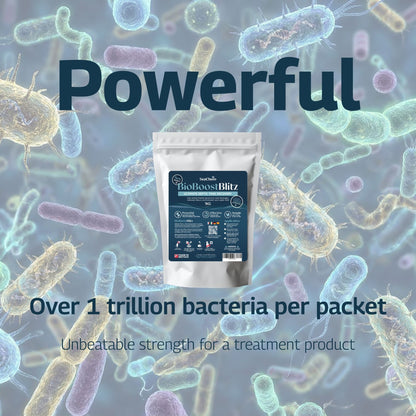 BioBoost Blitz | Ultimate Septic Tank Recovery  | One Time Bacteria Boost for Septic Tanks and Wastewater Treament Plants